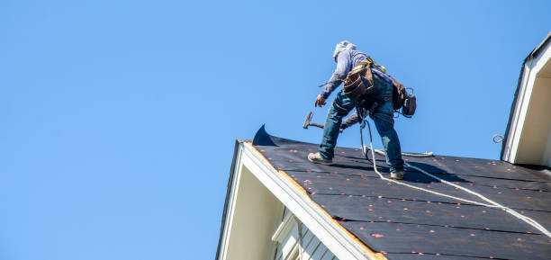 Best Roof Gutter Cleaning  in Baytown, TX